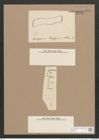 Pleurosigma balticum (Ehr.) W.Sm. (de-Toni-Nr.: Genus 13, Species 1063) Zeichnungen Sammlung Grunow Nr. 1916 (NHMW-BOT-W0369042)
